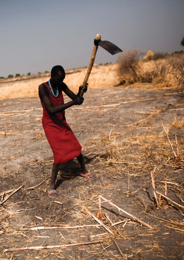 photo: Wojciech Grzędziński 