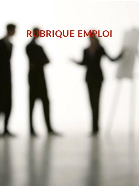 Rubrique Emploi