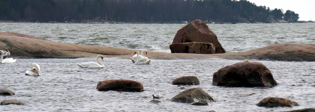 Lauttasaaren kärjessä, luontopolulla...