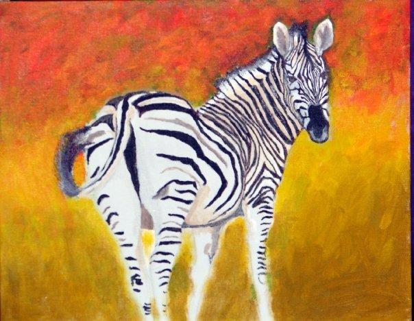 Zebra