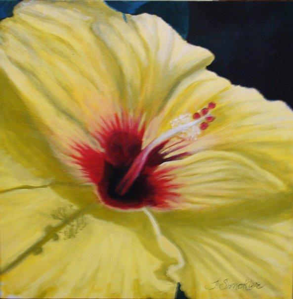 Hibiscus