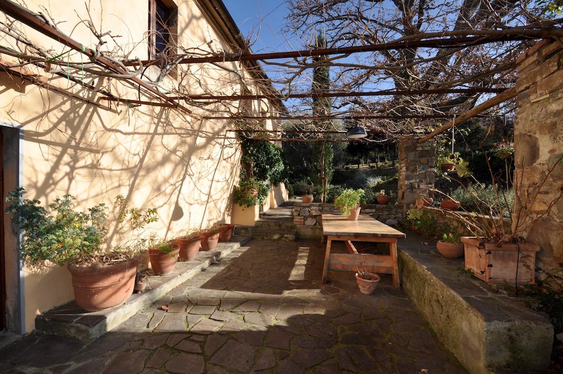 gazebo in front of the kitchen