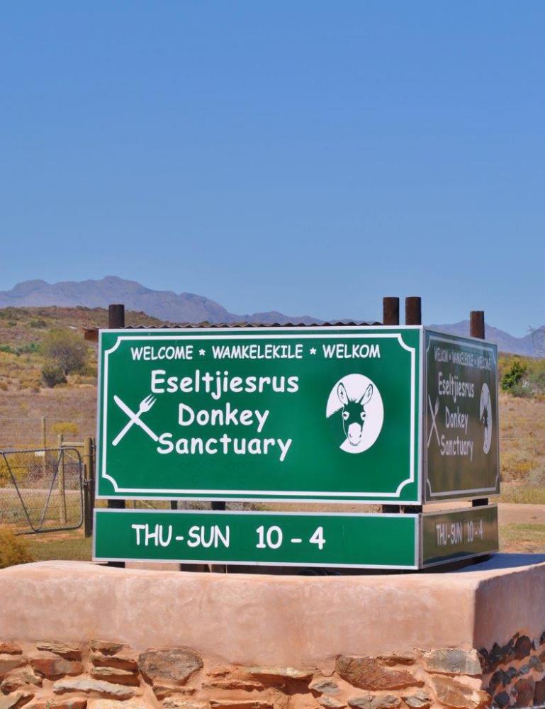 Donkey Sanctuary