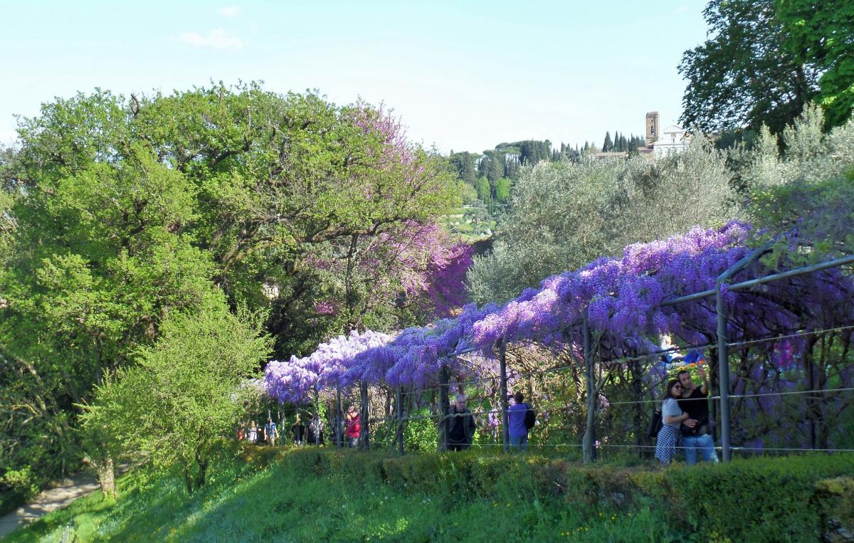 Bardini Garden