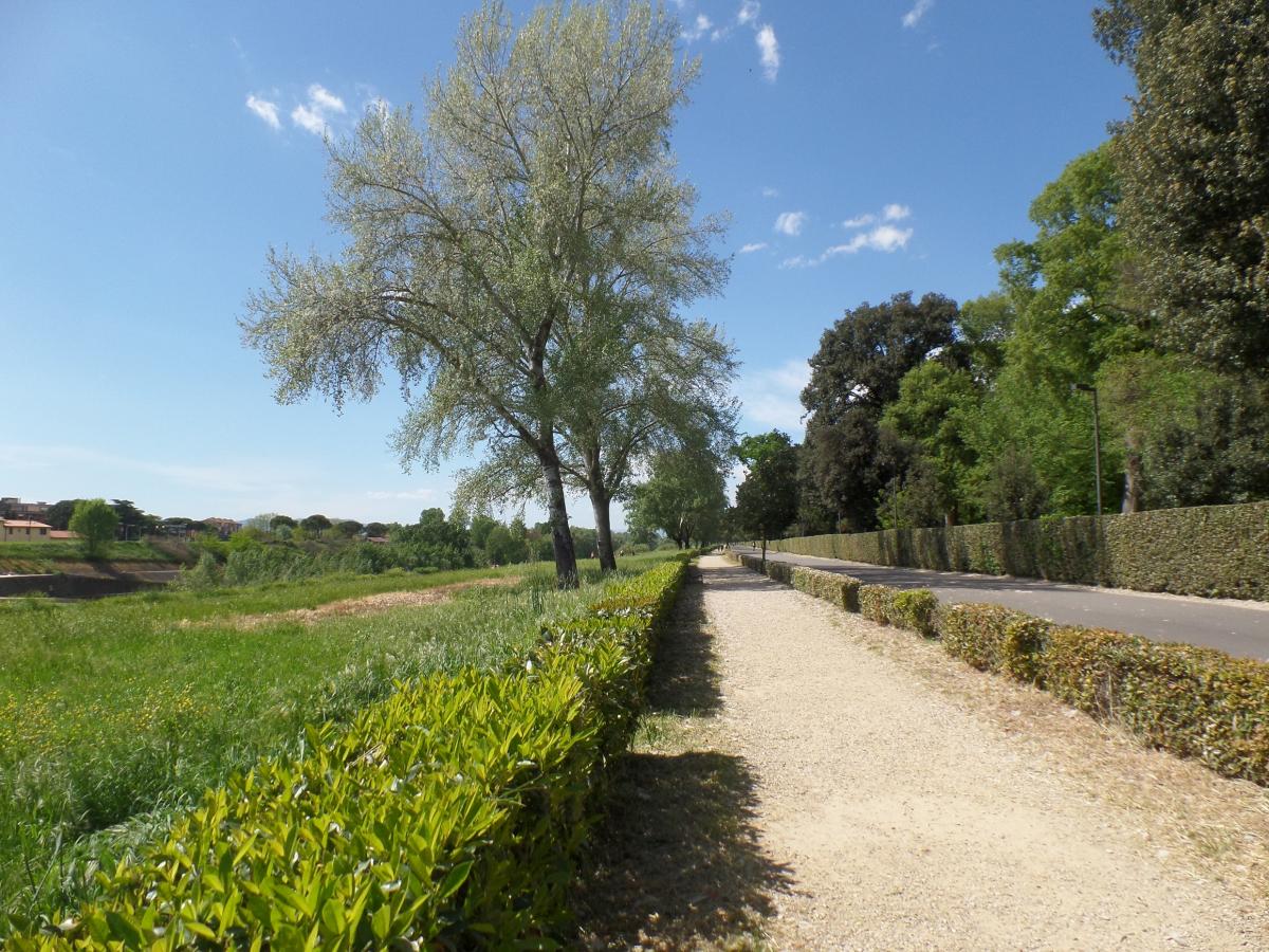 Parc des Cascine