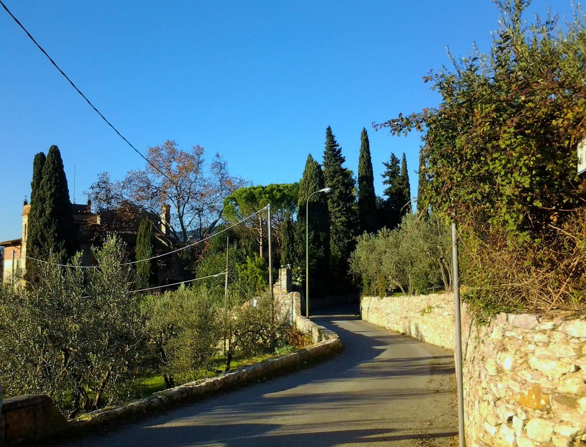 Colline de Castello