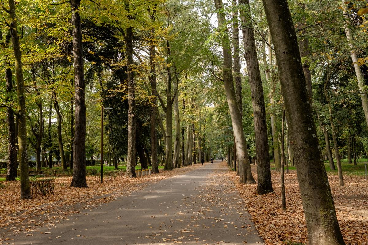 カッシーネ公園